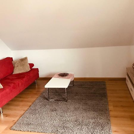 Grosses 1-Zimmer Wohlfuhl-Appartement Rednitzhembach Buitenkant foto